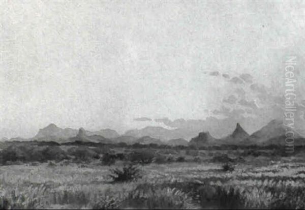Sudafrikanische Landschaft - view 1