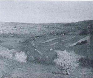 Blick Auf Wien Von Der Wildgrude (kahlenberg)