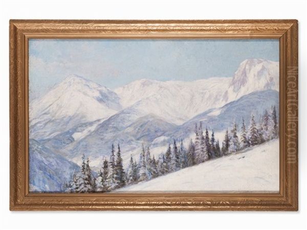 The Snowy Rax Alps - view 1