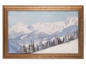 The Snowy Rax Alps by Fritz Erler