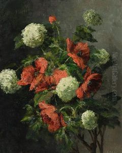 Stillleben Mit Mohnblumen Und Schneeballen