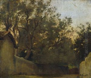 Romische Vigna Mit Olivenhain