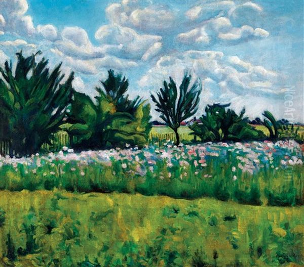 Poppy Field - view 1