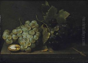 White And Red Grapes With An Open Walnut On A Stone Ledge