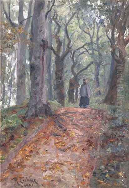 Der Waldspaziergang - view 1
