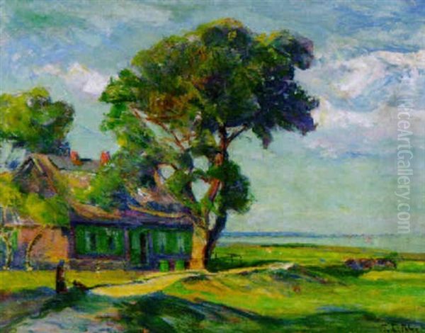 Landschaft Mit Alter Bauernkate Am Bodden - view 1