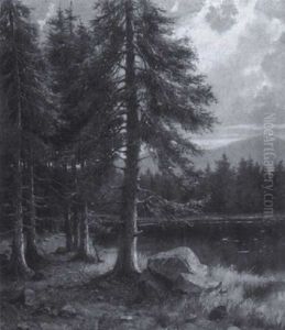 Moorsee Im Wald by Elmar von Eschwege