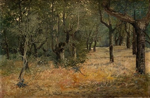 Paisaje De La Casa De Campo - view 1
