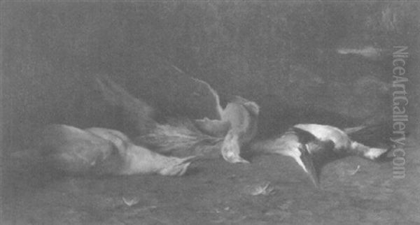 Vogelstilleben Vor Waldhintergrund - view 1
