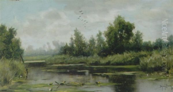 Plasgezicht - view 1