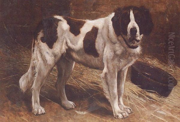 A Newfoundland In A Stable - view 1