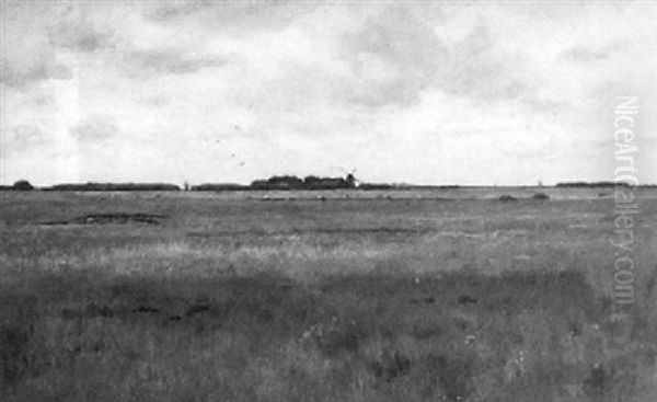 A Polder Landscape - view 1
