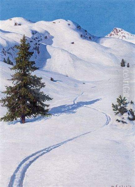 Snow Landscape With Ski Tracks - view 1