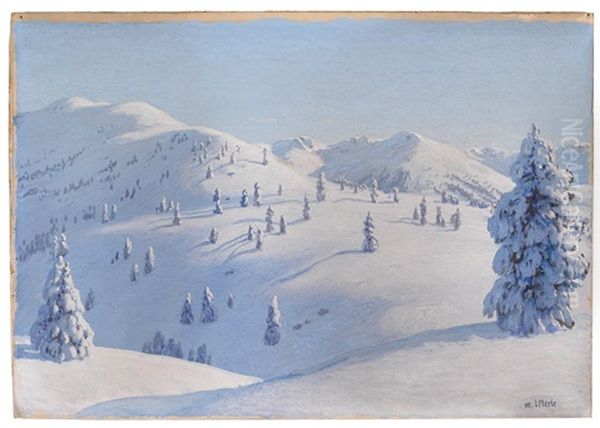 Kitzbuhler Berge - view 1