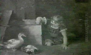 Young Girl Feeding The Ducks