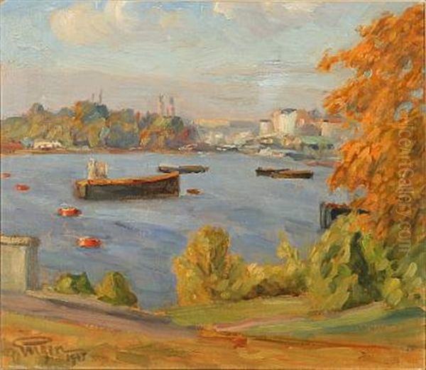 Hostfarger (the Colors Of Autumn) - view 1