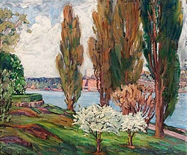 Popplar O. Fruktblom - view 1