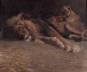 Ruhendes Lowenpaar by Felix Eulenburg