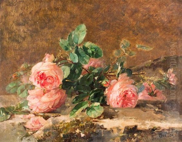 Roses - view 1