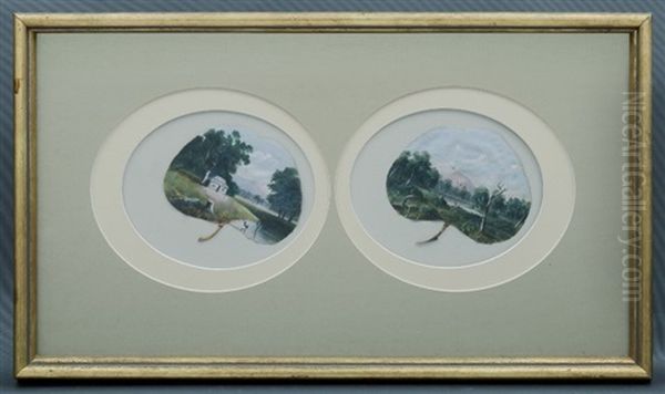 Colonial Bush Landscapes - view 1