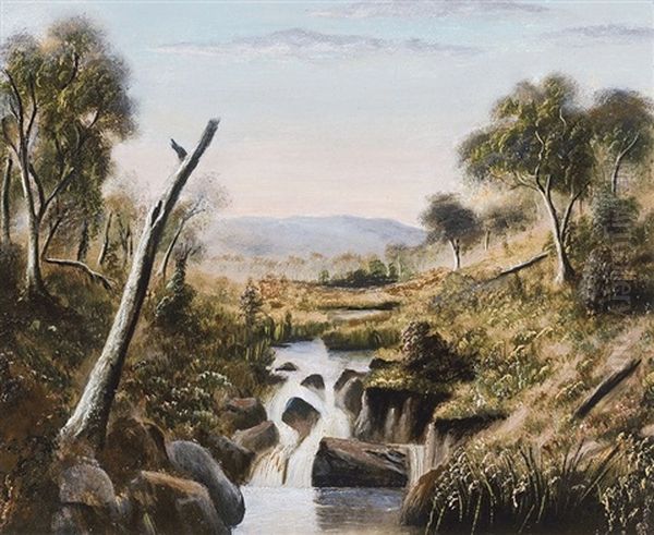 The Falls - view 1