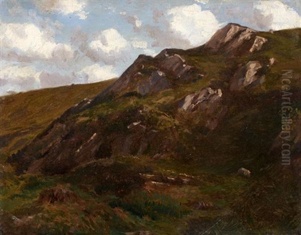 Paysage - view 1