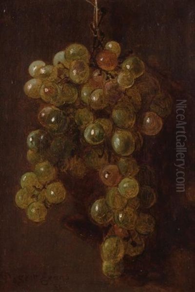 Still Life With Grapes - view 1