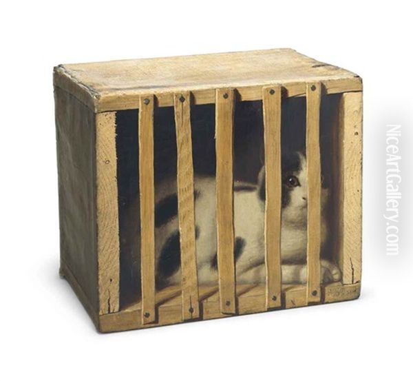 Cat In A Crate - view 1