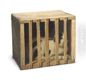 Cat In A Crate by De Scott Evans