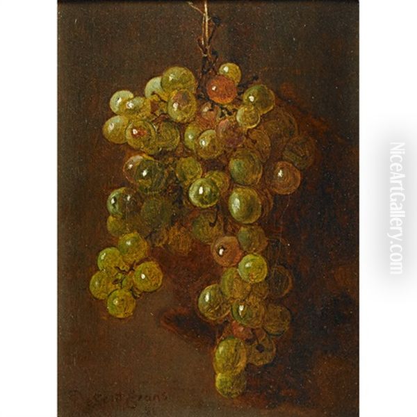 Still Life With Grapes - view 1