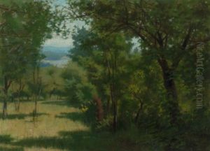 Forest Opening With Lake In The Distance by Joe Evans