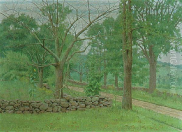 The Road To Athol - view 1