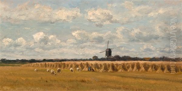 Workers With Sheep In The Field - view 1