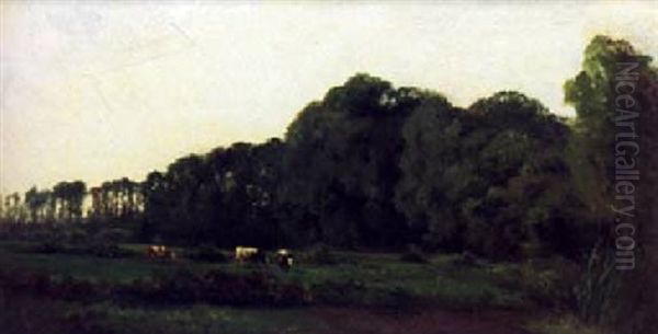 Landschaft - view 1