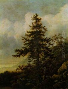 Skandinavische Gebirgslandschaft