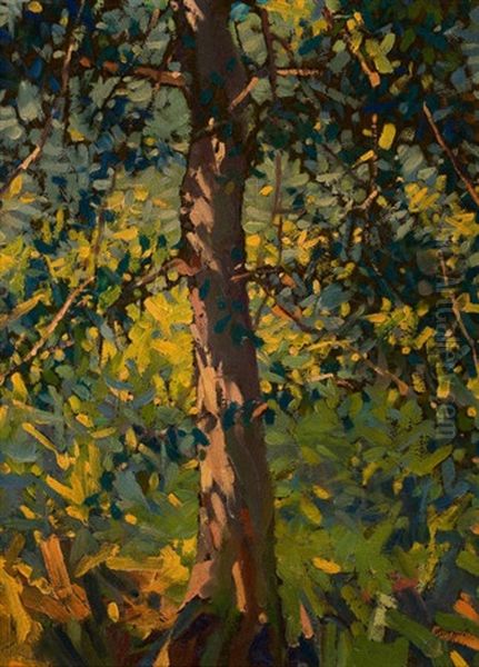 Trees, October 22 - view 1
