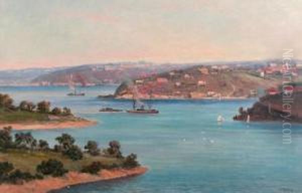 Sydney Harbour View - view 1