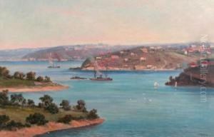 Sydney Harbour View