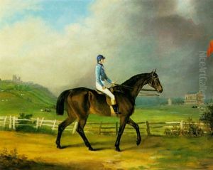 "rosina" With Jockey Up On Lincoln Racecourse