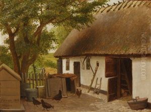 Hens Pecking Corn At The Court Yard