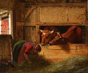 A Young Girl Feeding The Cattle