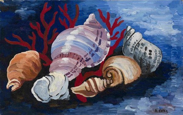Still Life With Sea Shells - view 1