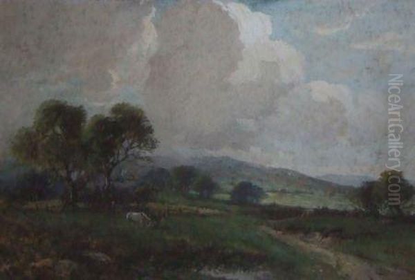 Horses Grazing In A Field - view 1