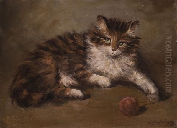 Getiegerte Katze Mit Wollknauel - view 1