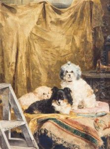 Untitled (puppies) by Charles van den Eycken