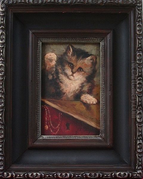Playful Kitten - view 1