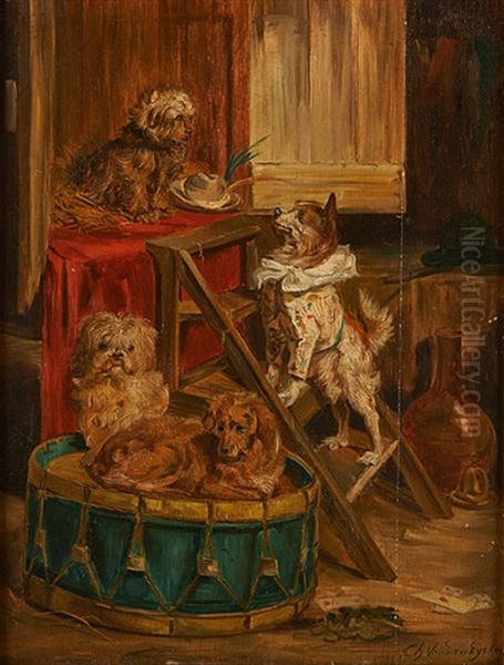 Chien Savant - view 1