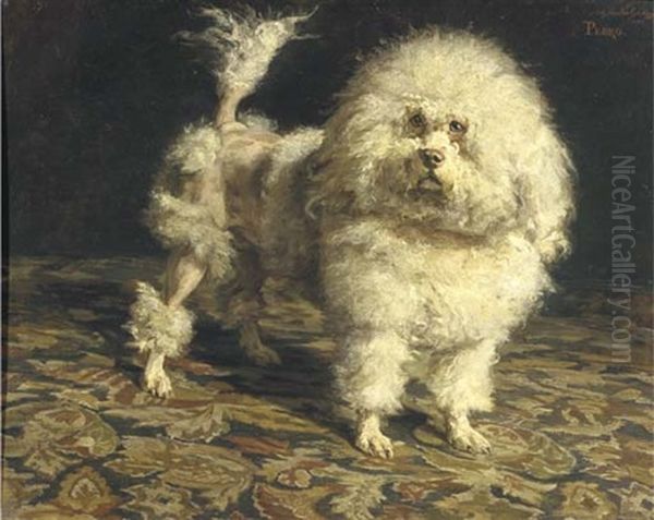 Pedro: Portrait Of A Poodle - view 1