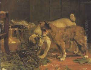 Deux Chiens Decouvrant Un Cageot De Homards Vivants Deux Chiens Decouvrant Un Cageot De Homards Vivants