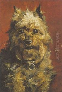 A Dog